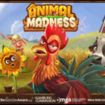 라이브카지노. Play'n GO, 새로운 Animal Madness 비디오 슬롯 출시