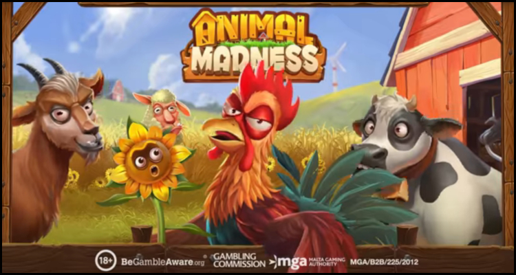 라이브카지노. Play’n GO, 새로운 Animal Madness 비디오 슬롯 출시